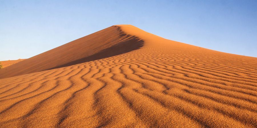 221fb631d13a9d89435a486a9d0dc490