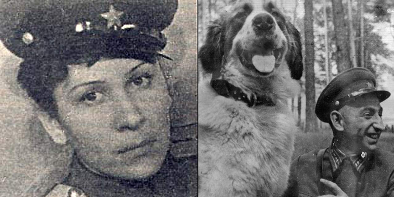 d8cbe8080730207806a2b45ad04ef1b9