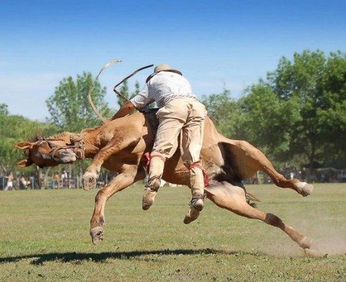Ловушка 2014 года по Бацзы