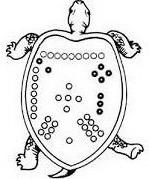 Черепаха со знаками на спине